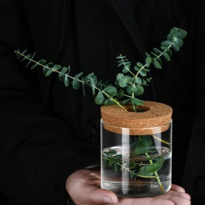 Creative Mini Hydroponic Plants Flower Pot