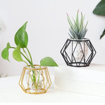 Hydroponic Plant Flower Iron Line Vase Nordic Golden Glass Vase
