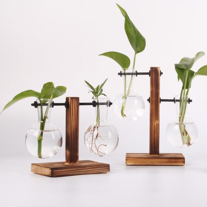 Hydroponic Plant Terrarium Vasevase Decoration Home Glass